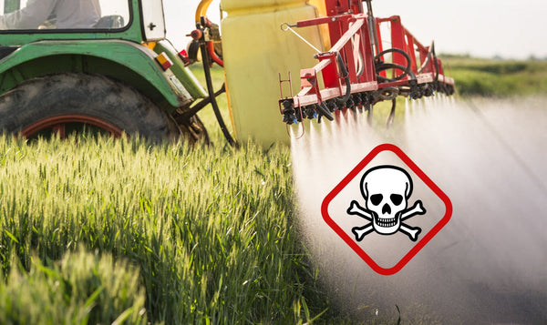 Why Organic Soap? Because the #2 herbicide in the USA is so toxic it's BANNED in Europe